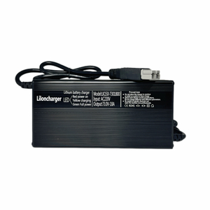 LK1000W 시리즈 리튬 배터리